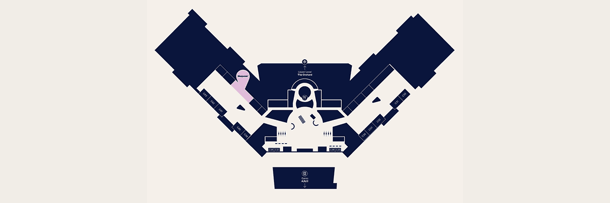 Sleepover DOH NN C40 map